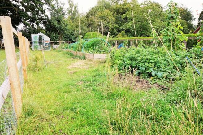 Mature Garden