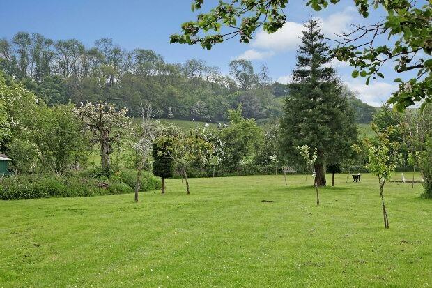 Orchard Garden