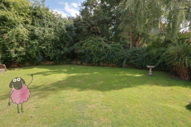 Garden at Back