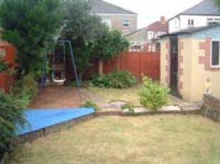 Back Garden