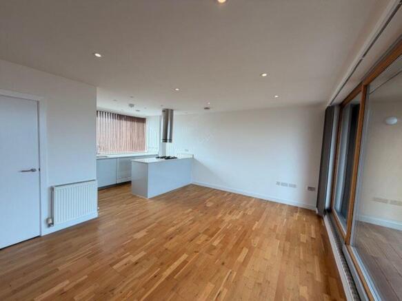 Living / Kitchen Area