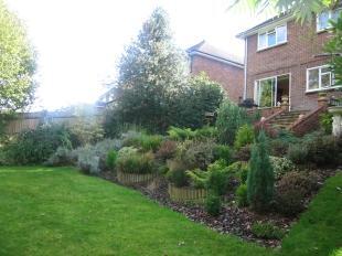 Garden 3
