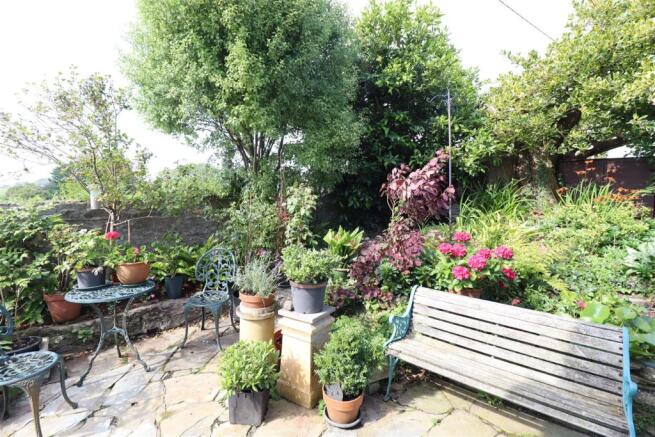 8261 Garden.JPG