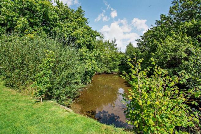 Large Pond