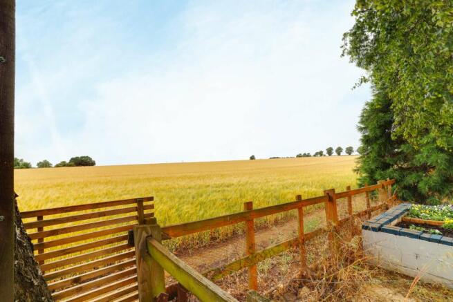 View from Property at Back