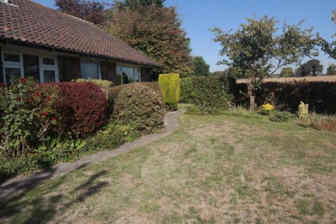 Rear garden.jpg
