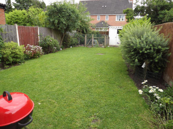 Photo 11