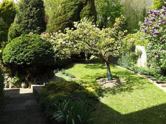 Photo 19
