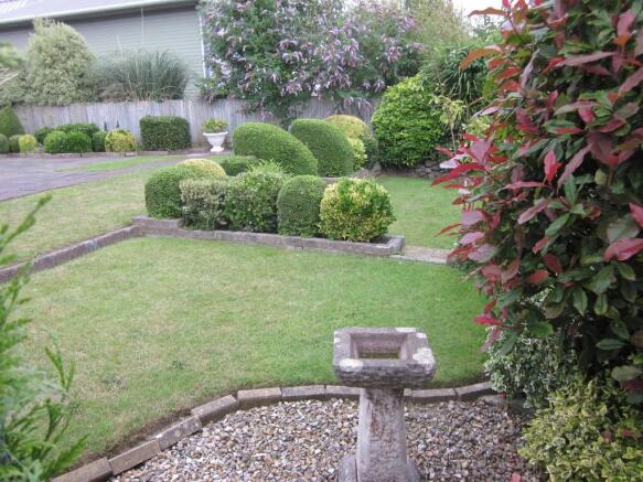 Photo 10