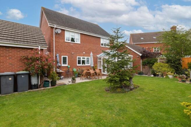 Rear Aspect