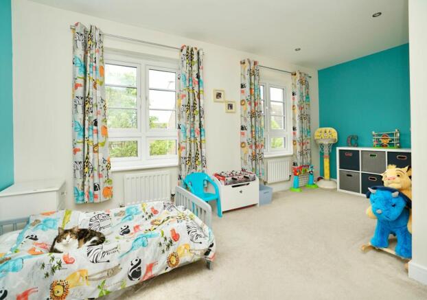 Photo 11