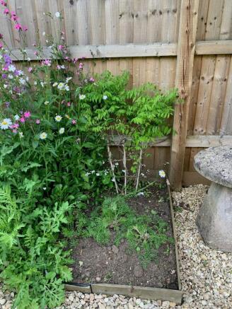 Photo 29