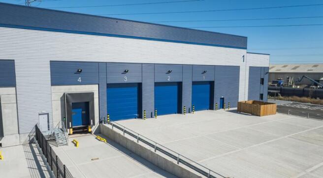 Avocet - Image 5.jpeg