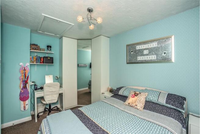 Photo 11