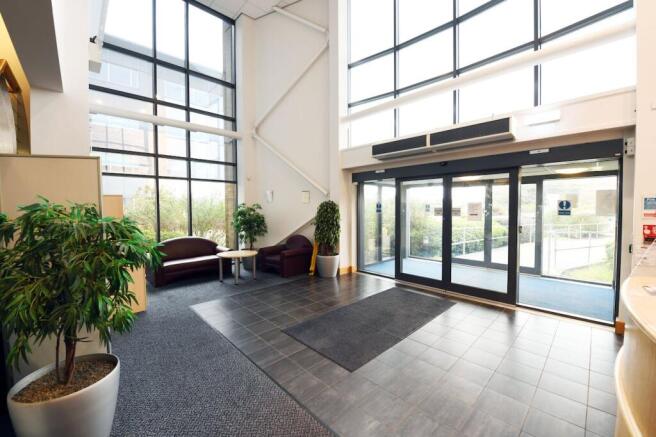 DSC_52092.jpg