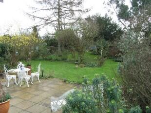 Rear Patio Area