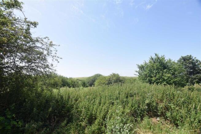 Field Views