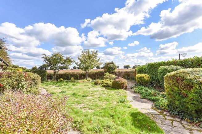 Garden 2.jpg