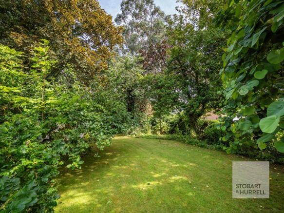 Rear Lawn 