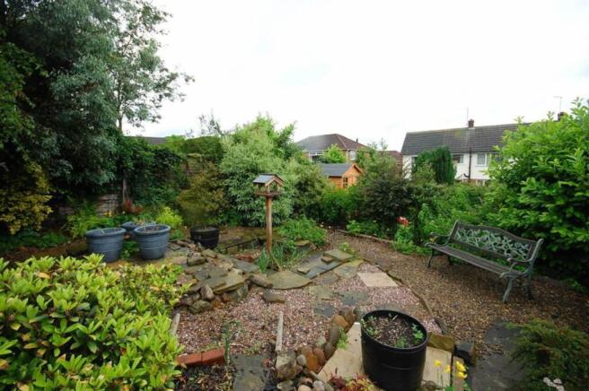 garden - view 2