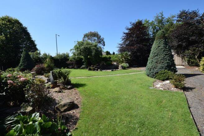 Side garden 