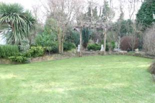 Corner Plot Garden