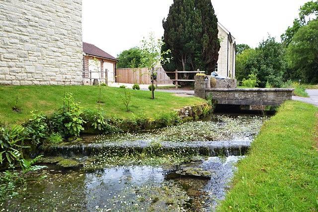Garden & Stream