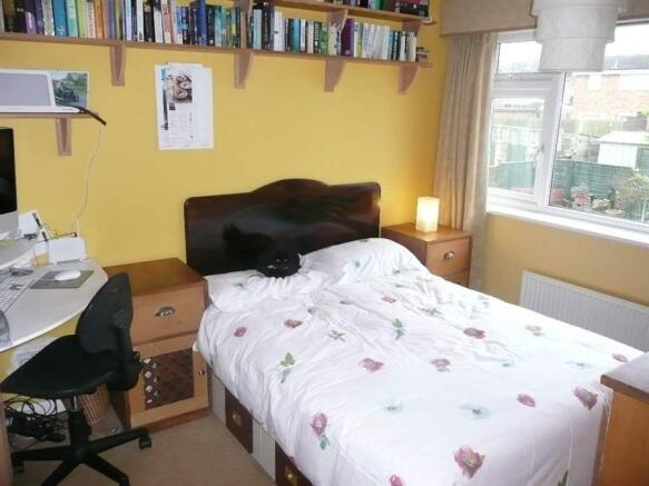 Photo 7