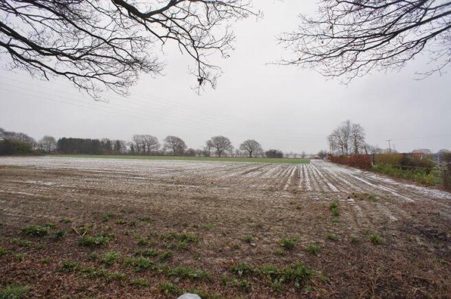 Fields views t...