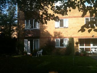 Photo 7