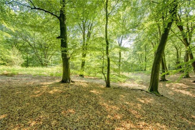 Woodlands