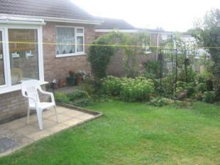 Garden 1