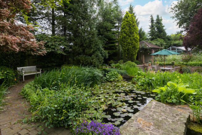 Pond