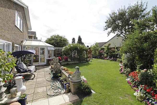 garden 2.jpg