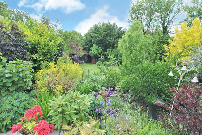 Photo 16
