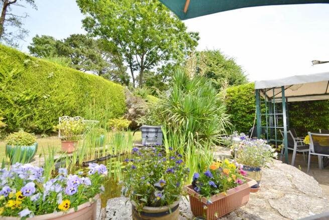 Patio & Garden