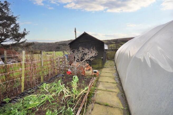 Back Garden