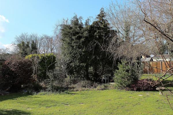 View from Property at Back