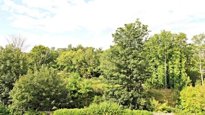 View from Property at Back