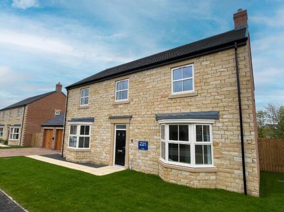 Rose Plot 7 External