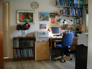 Photo 17