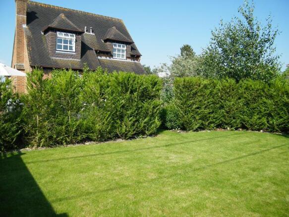 garden