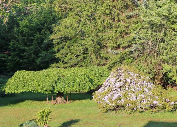 Gardens