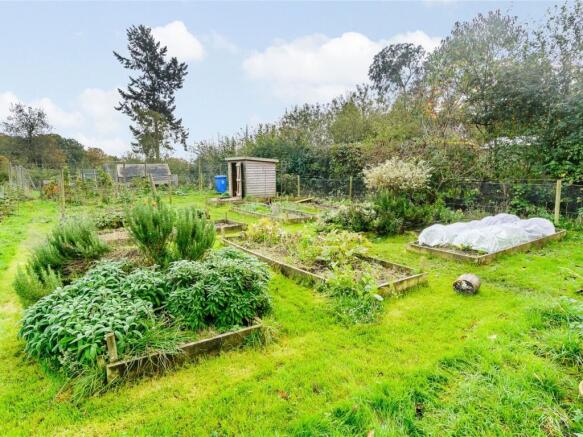 Vegetable Plot