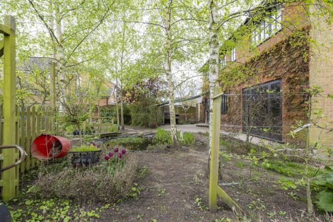 garden 3.jpg