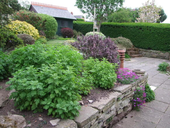 Photo 17