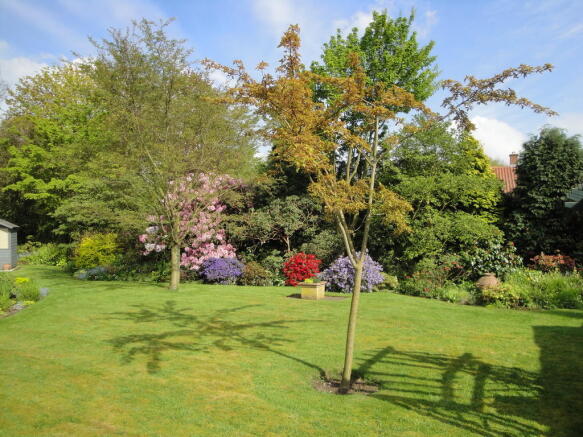 Garden in Summer