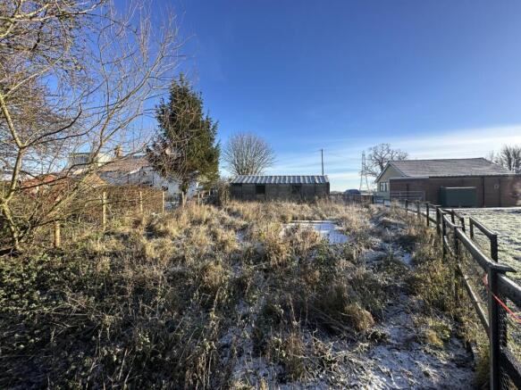 IMG 2139 T202601061625.jpg