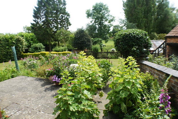 Photo 30