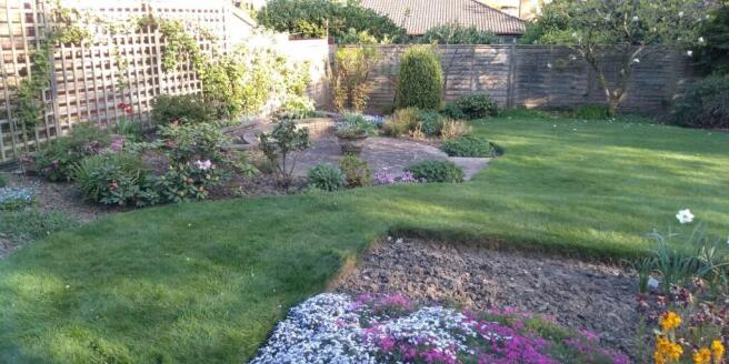 Photo 24